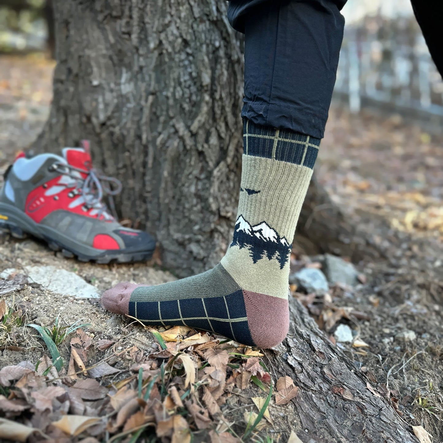 Men's Crew Cushioned Hiking  Cotton Socks - 6 PK