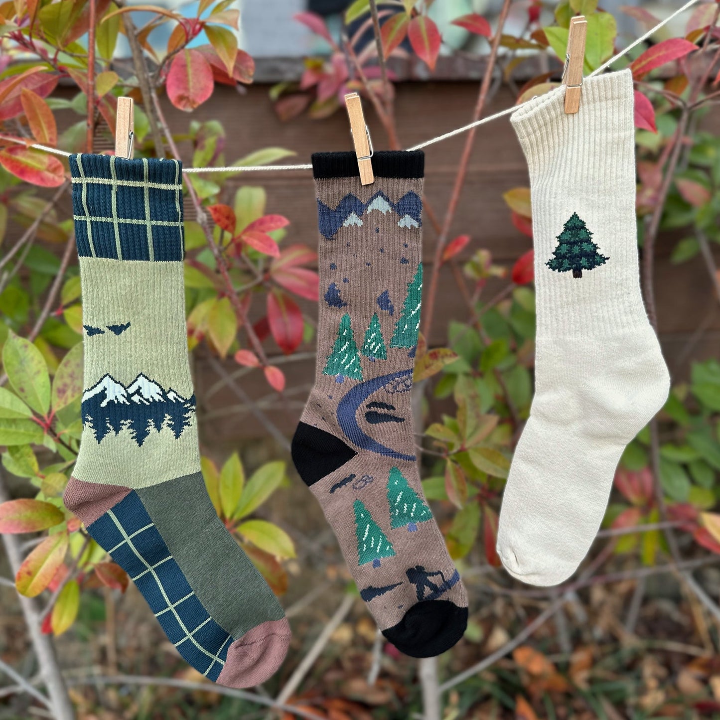 Men's Crew Cushioned Hiking  Cotton Socks - 6 PK
